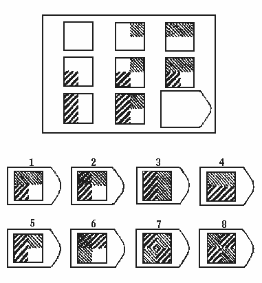 瑞文智力测试C12