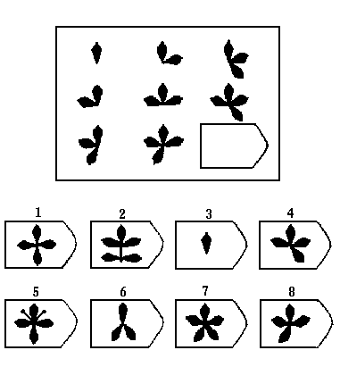 瑞文智力测试C5