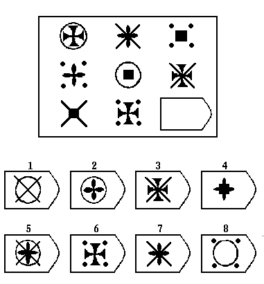 瑞文智力测试D10