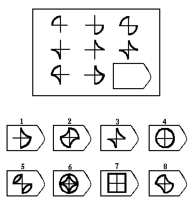 瑞文智力测试E3